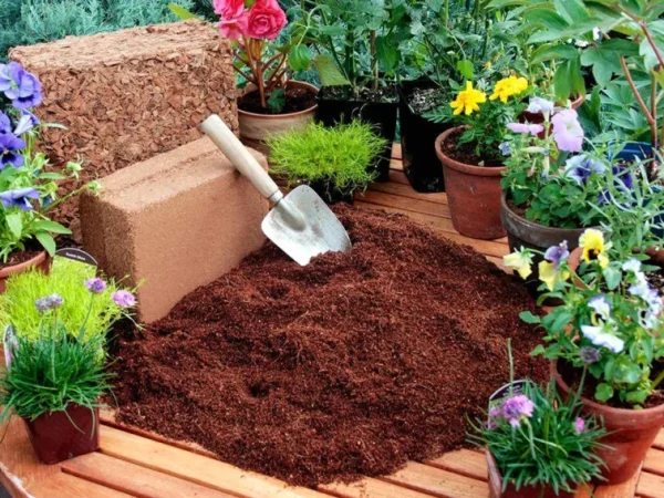 5-trustbasketing-coco-peat-block-5kg-block-expands-to-75-litres-original-imagp4a4hh6yutyz