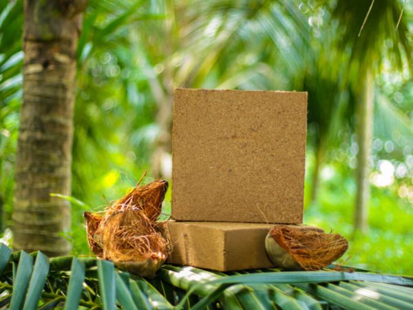 cocopeat1-1024x683
